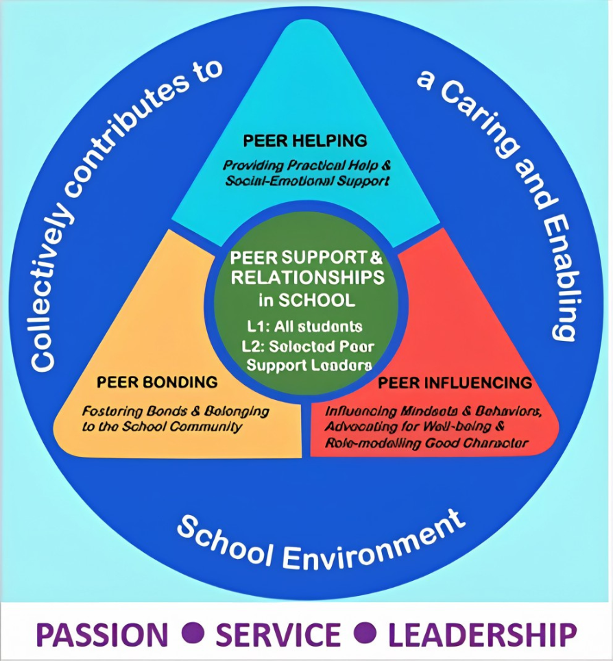 Circular diagram showing peer support in schools with a triangle dividing peer helping, bonding, and influencing sections.